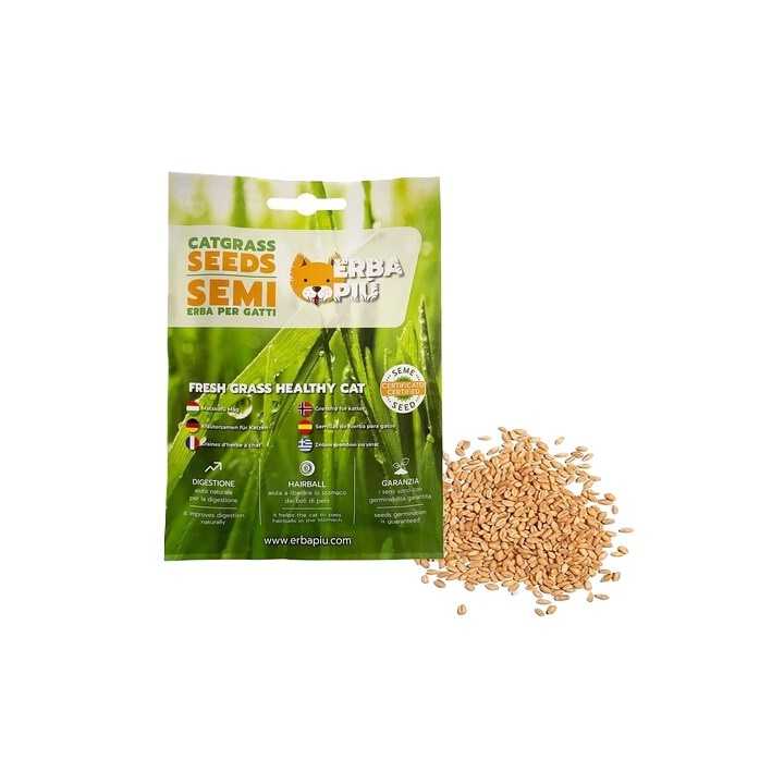 Erba Piu' Catgrass Seeds Semi Erba Gatta
