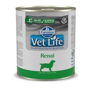 Farmina Vet Life Canine Renal 300 Gr.