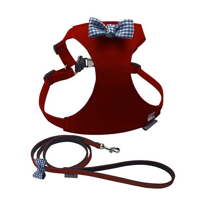 Ferribiella Pettorina & Guinzaglio Con Fiocco 25-45 Cm. / 120 Cm. Rossa