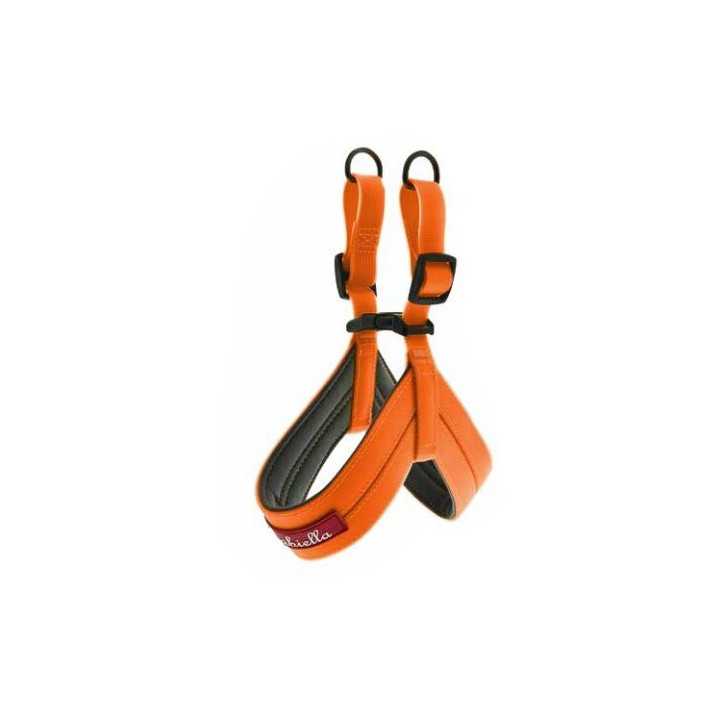 Ferribiella Pettorina Coco Fun Flat (5 X 80 Cm.) Arancione