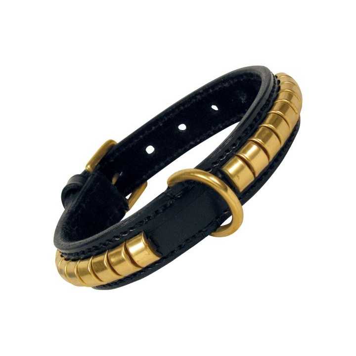 Gloria Guinzaglio Duna (110 X 18 Mm.)