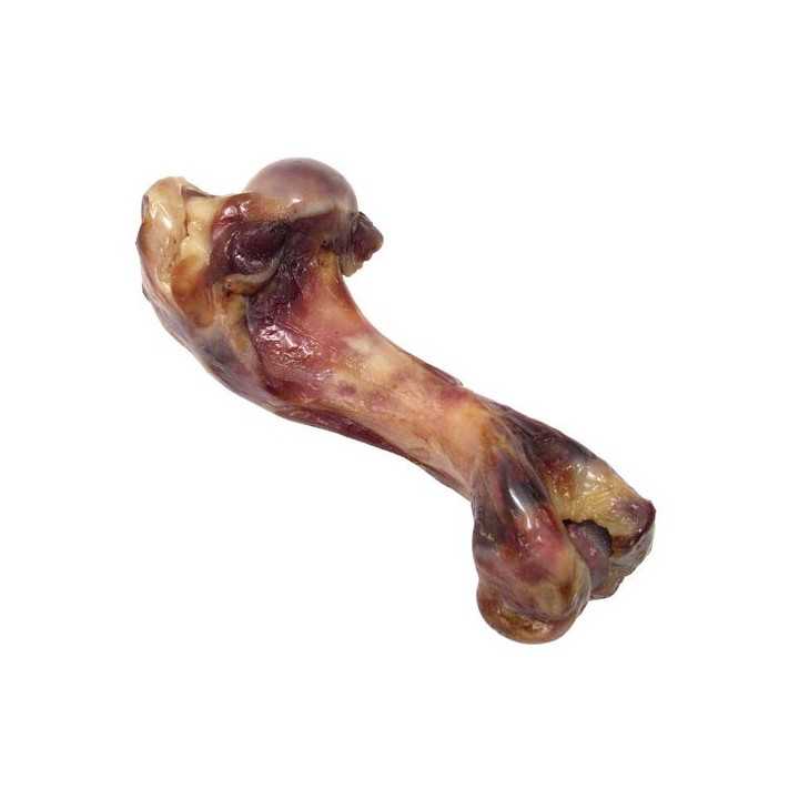 Gloria Osso Di Prosciutto