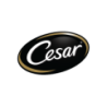 Cesar