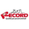 Record